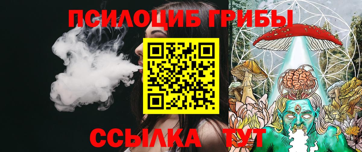 Псилоцибиновые грибы GOLDEN TEACHER  Вход с VPN  купить наркотик  Ревда  Галлюциногенные грибы ЛСД 